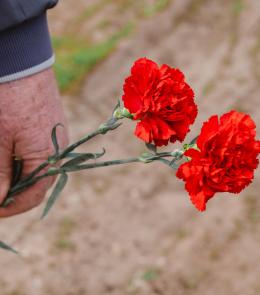 " "  .. 03.05.2025 .